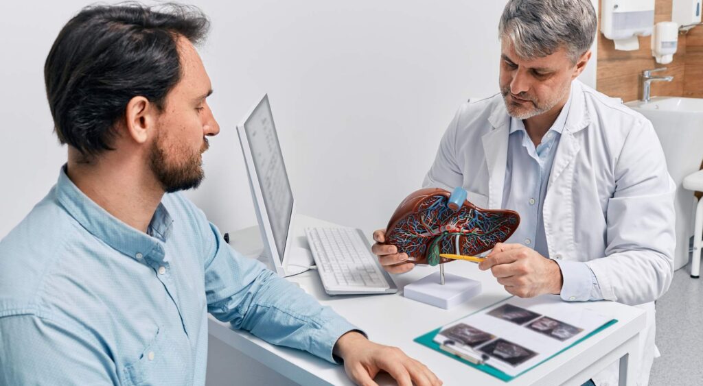 From Damage to Recovery: How Long Does It Take for Your Liver To Heal?